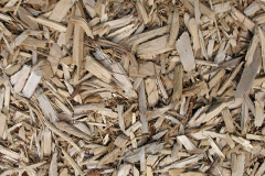 biomass boilers Hardingstone